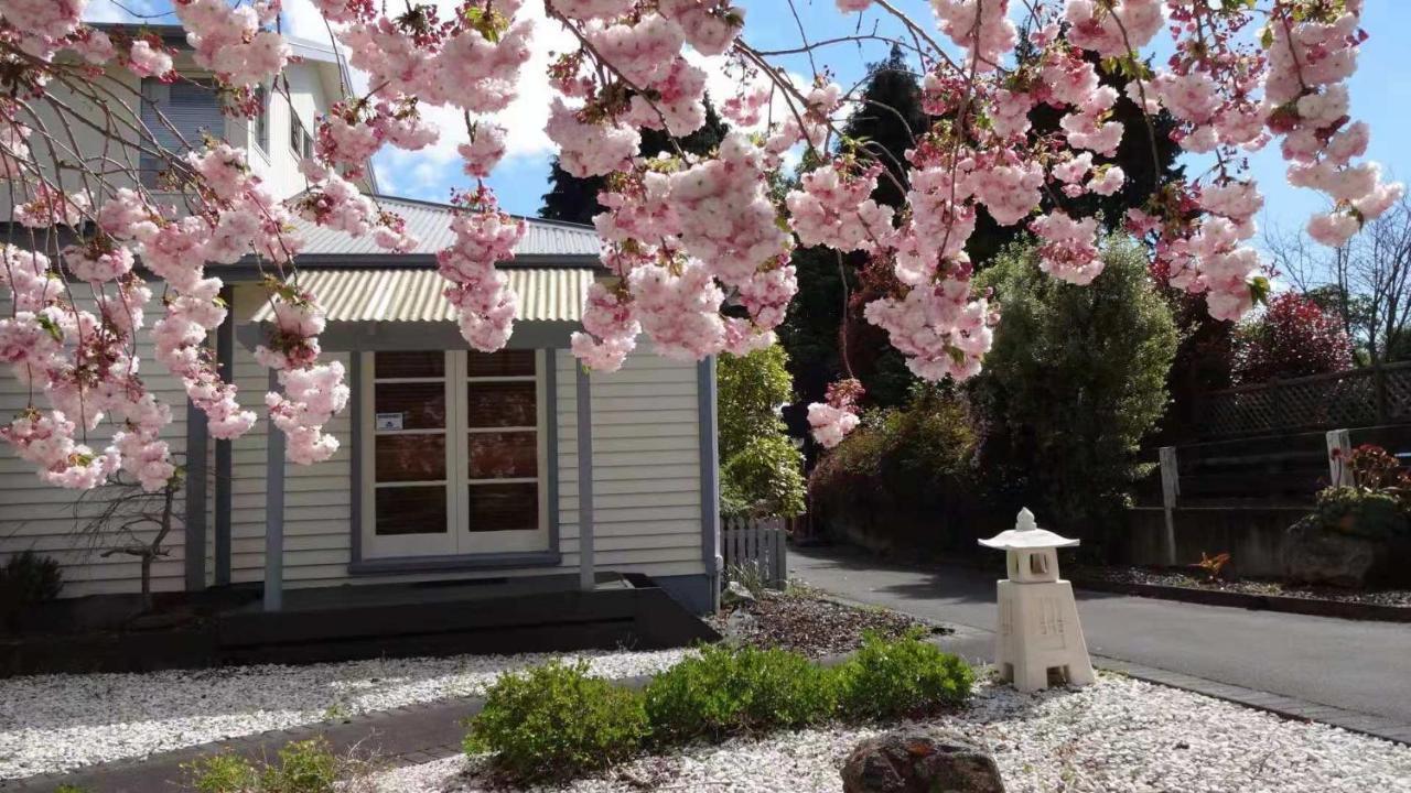 Macadamia Retreat - City Central Hygge Ροτόρυα Εξωτερικό φωτογραφία